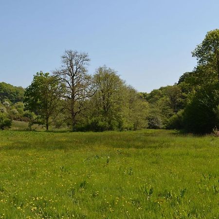 Aldridge Mill Oakford Exterior foto