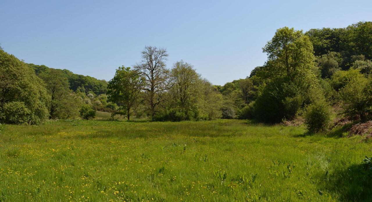 Aldridge Mill Oakford Exterior foto